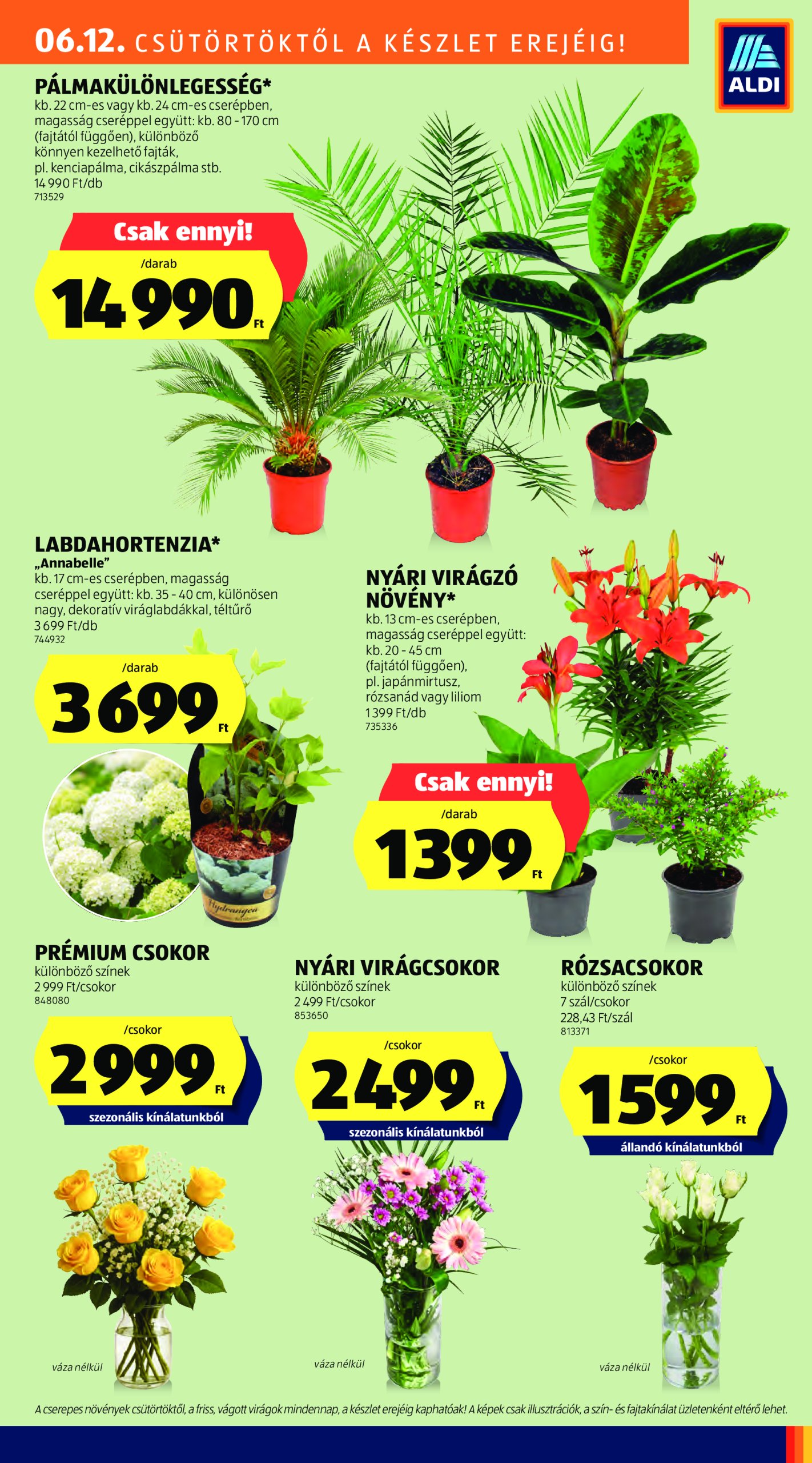 aldi - Aldi - Középső sor termékei akciós újság, érvényes 06.12. - 06.18. - page: 11