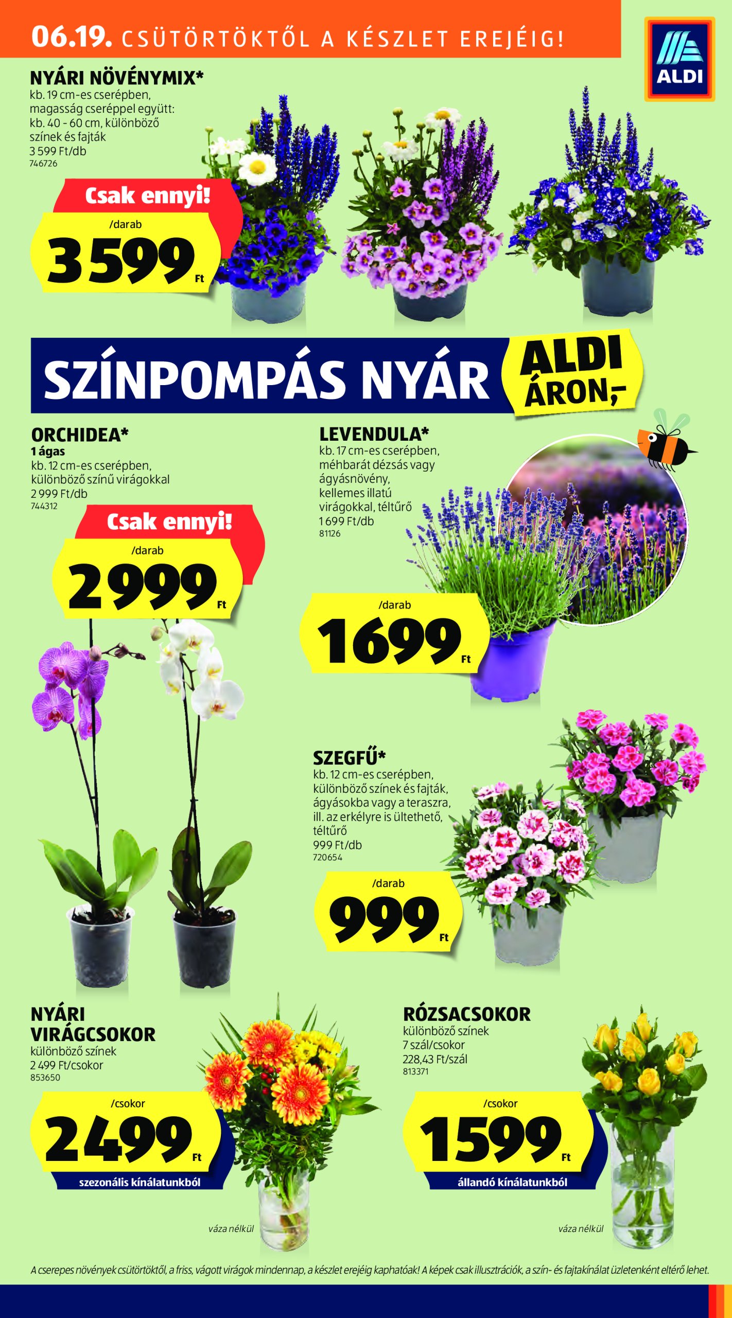 aldi - Aldi - Középső sor termékei akciós újság, érvényes 06.19. - 06.25. - page: 9