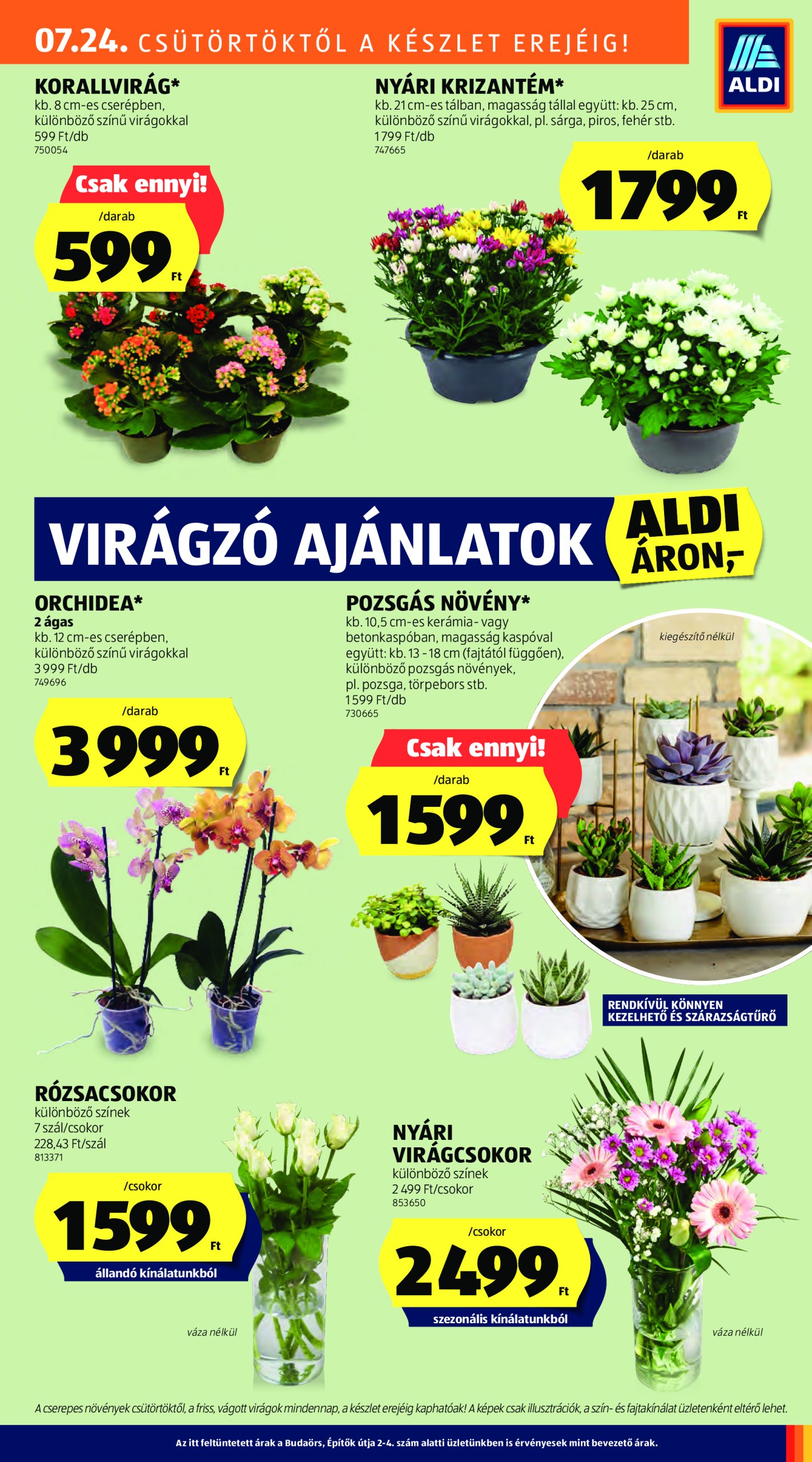 aldi - Aldi akciós újság, érvényes 07.24. - 07.30. - page: 27
