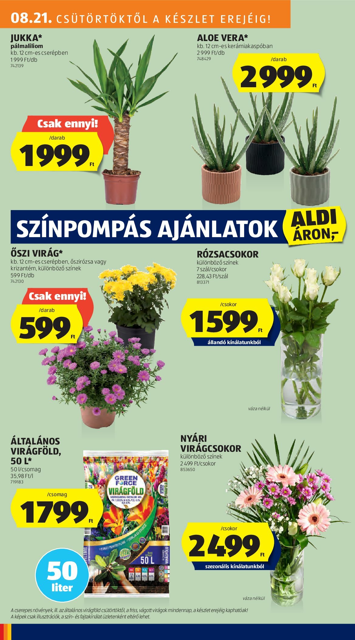 aldi - Aldi akciós újság, érvényes 08.21. - 08.27. - page: 26 aldi - Aldi akciós újság, érvényes 08.21. - 08.27. - page: 26