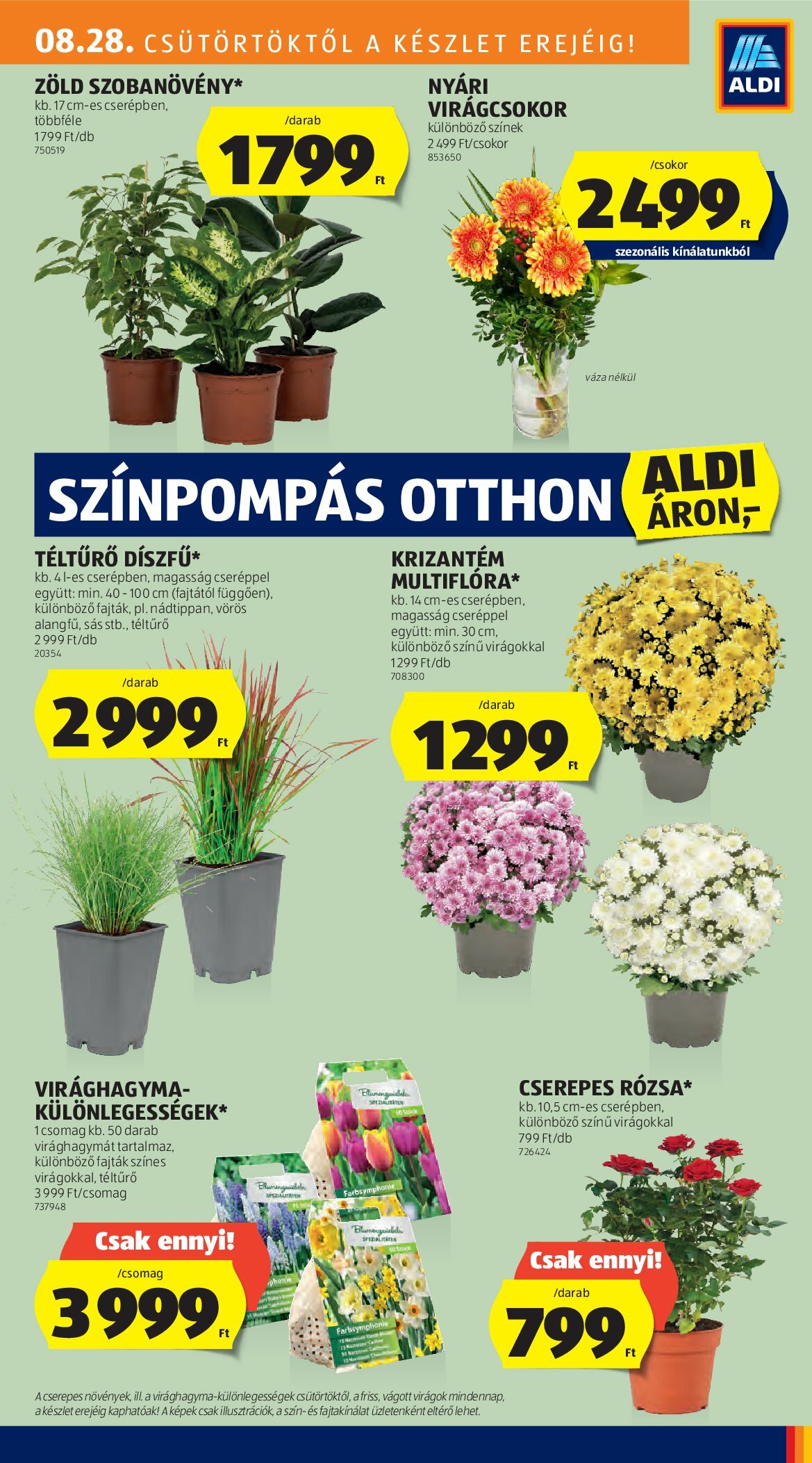 aldi - Aldi - Középső sor termékei akciós újság, érvényes 08.28. - 09.03. - page: 7
