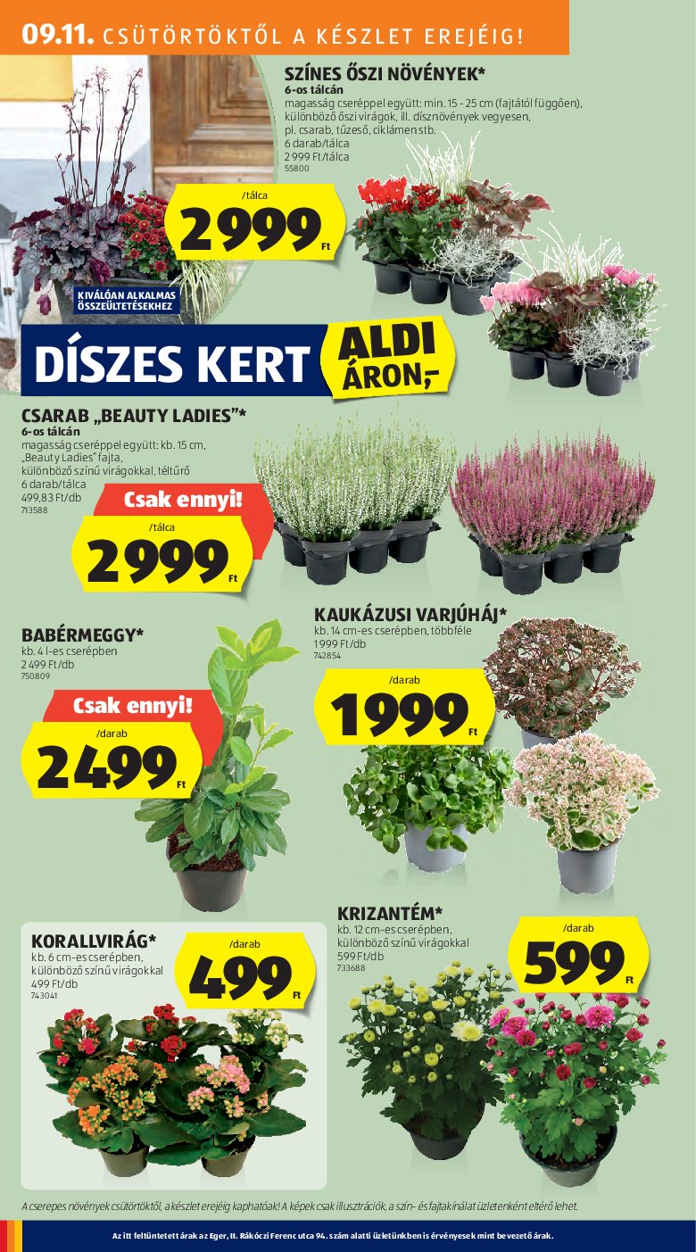 aldi - Aldi akciós újság, érvényes 09.11. - 09.17. - page: 24 aldi - Aldi akciós újság, érvényes 09.11. - 09.17. - page: 24