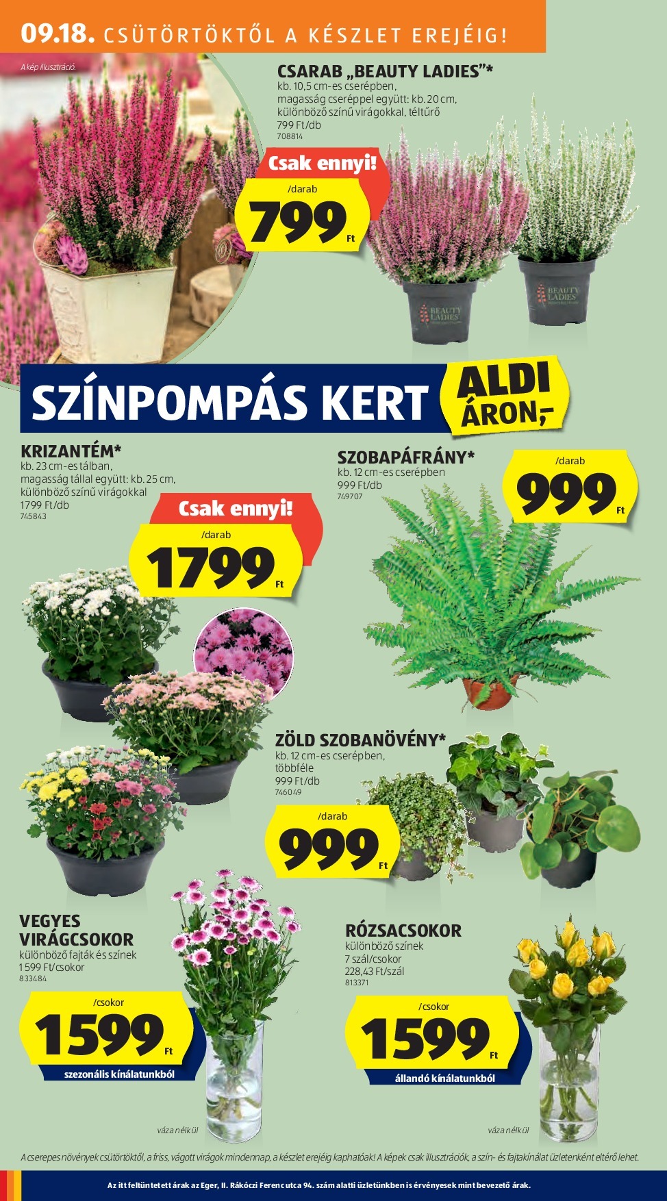 aldi - Aldi akciós újság, érvényes 09.18. - 09.24. - page: 22
