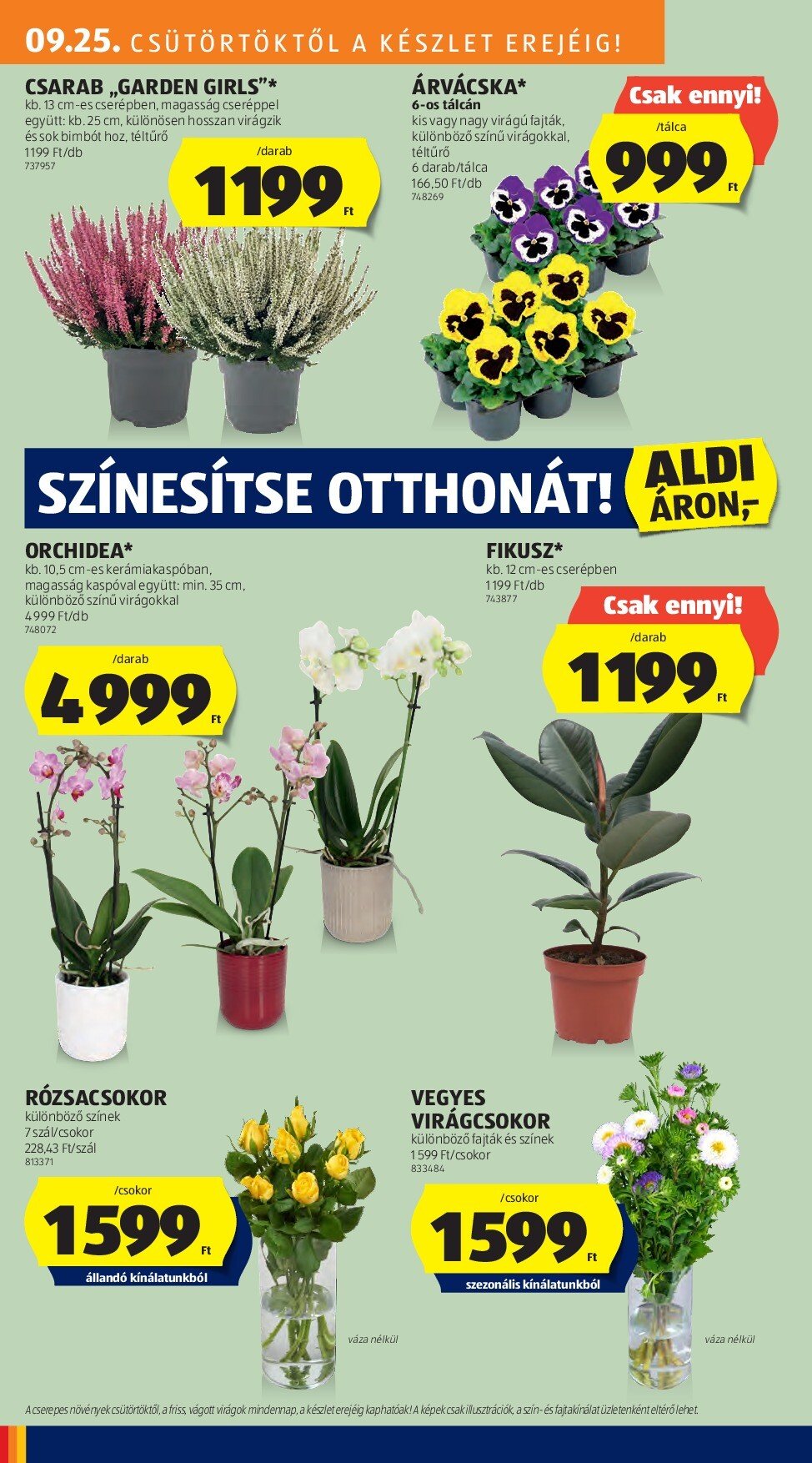 aldi - Aldi - Középső sor termékei akciós újság, érvényes 09.25. - 10.01. - page: 8