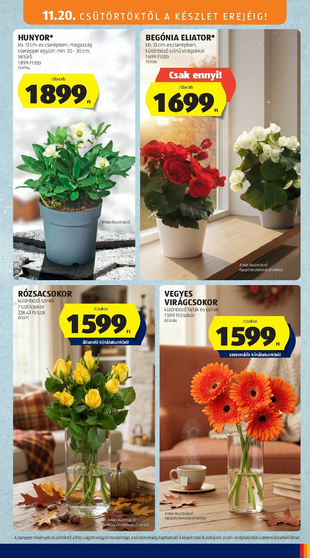 aldi - Aldi - Középső sor termékei akciós újság, érvényes 11.20. - 11.26. - page: 11