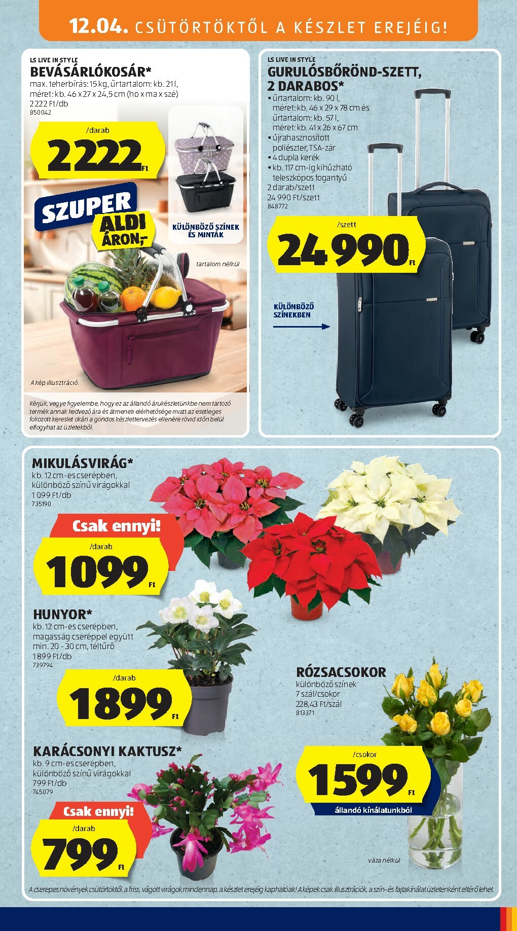 aldi - Aldi - Középső sor termékei akciós újság, érvényes 12.04. - 12.24. - page: 3