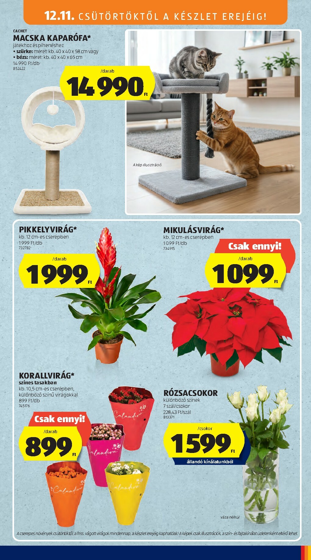 aldi - Aldi - Középső sor termékei akciós újság, érvényes 12.11. - 12.17. - page: 13