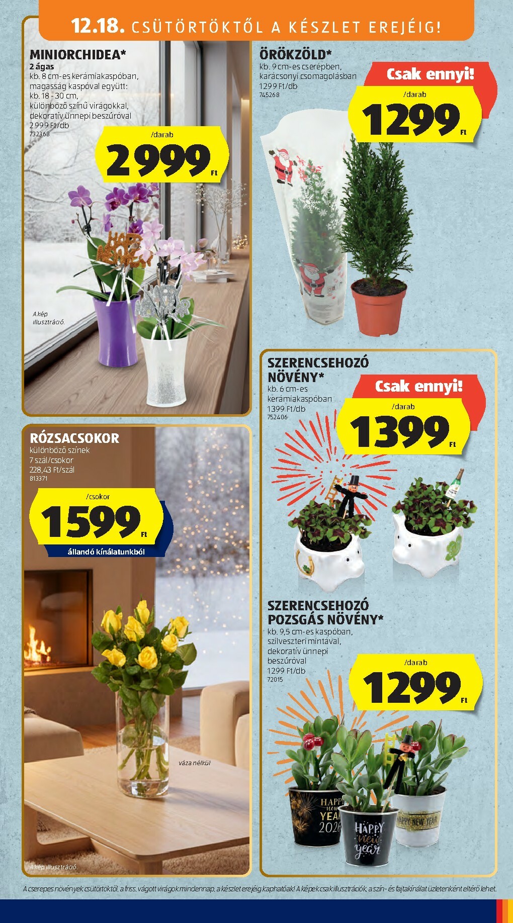 aldi - Aldi - Középső sor termékei akciós újság, érvényes 12.18. - 12.31. - page: 9