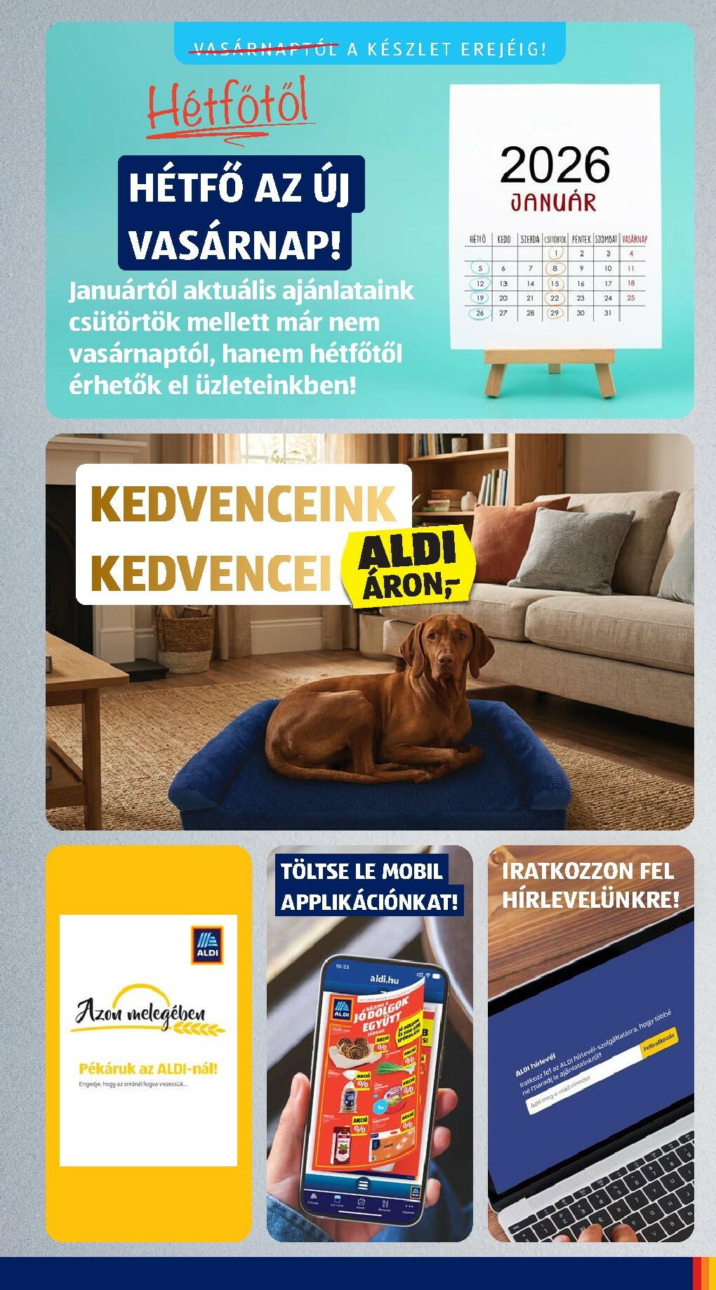aldi - Aldi akciós újság, érvényes 12.24. - 12.31. - page: 3