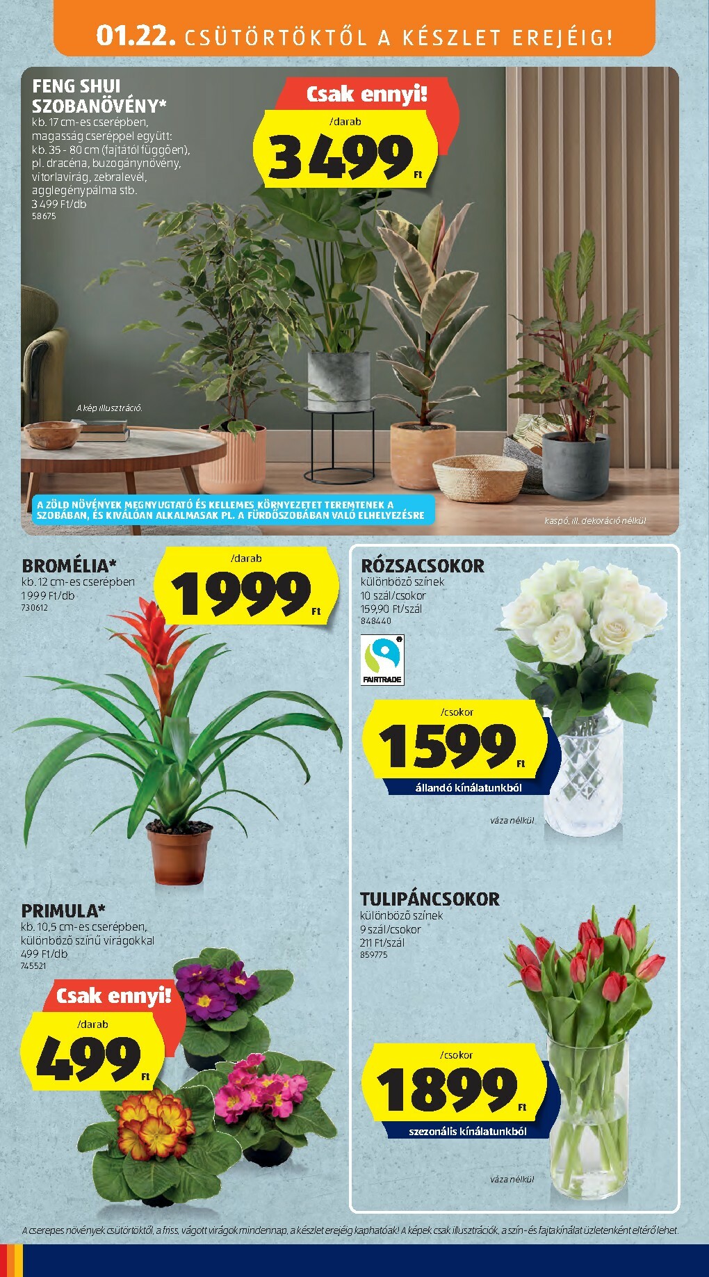 aldi - Aldi akciós újság, érvényes 01.22. - 01.28. - page: 26