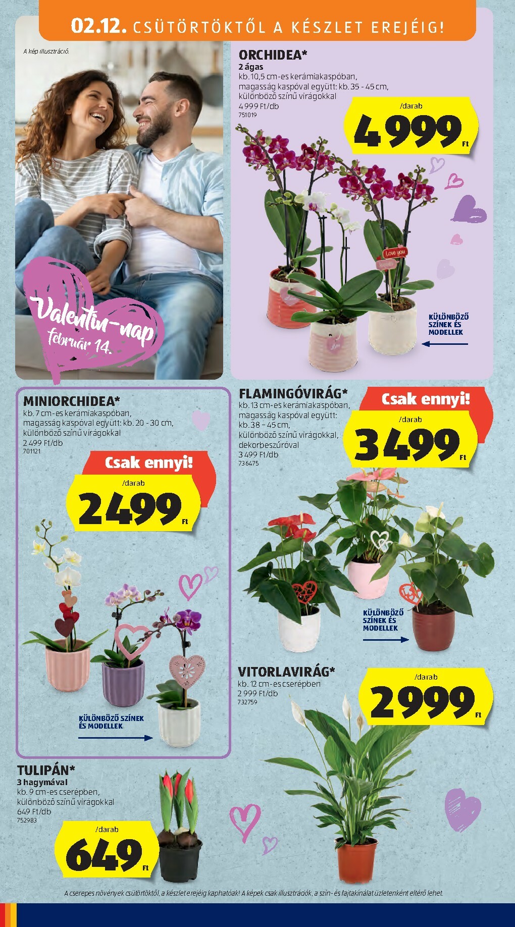 aldi - Aldi - Középső sor termékei akciós újság, érvényes 2026.02.12. - 2026.02.18. - page: 6