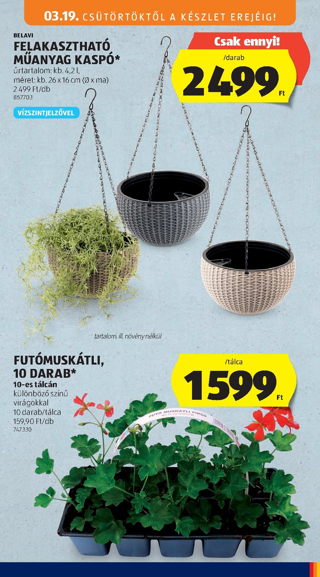 aldi - Aldi akciós újság, érvényes 2026.03.19. - 2026.03.25. - page: 49