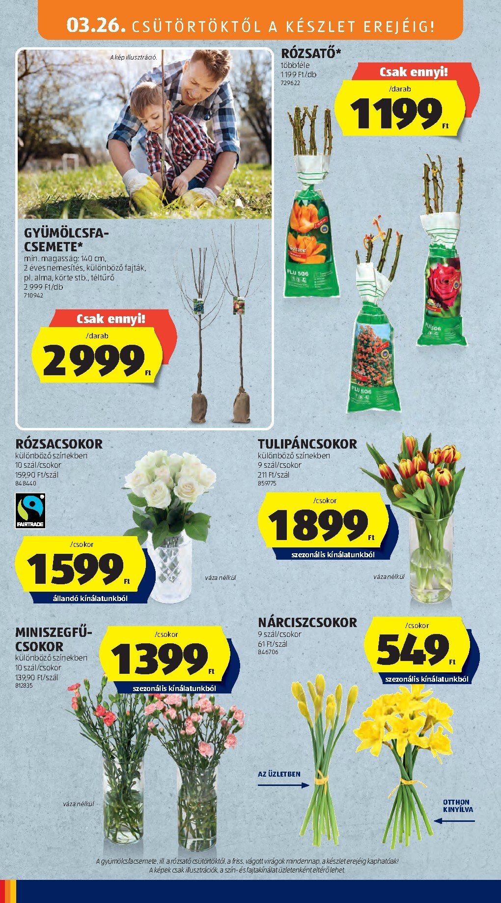 aldi - Aldi - Középső sor termékei akciós újság, érvényes 2026.03.26. - 2026.04.01. - page: 10