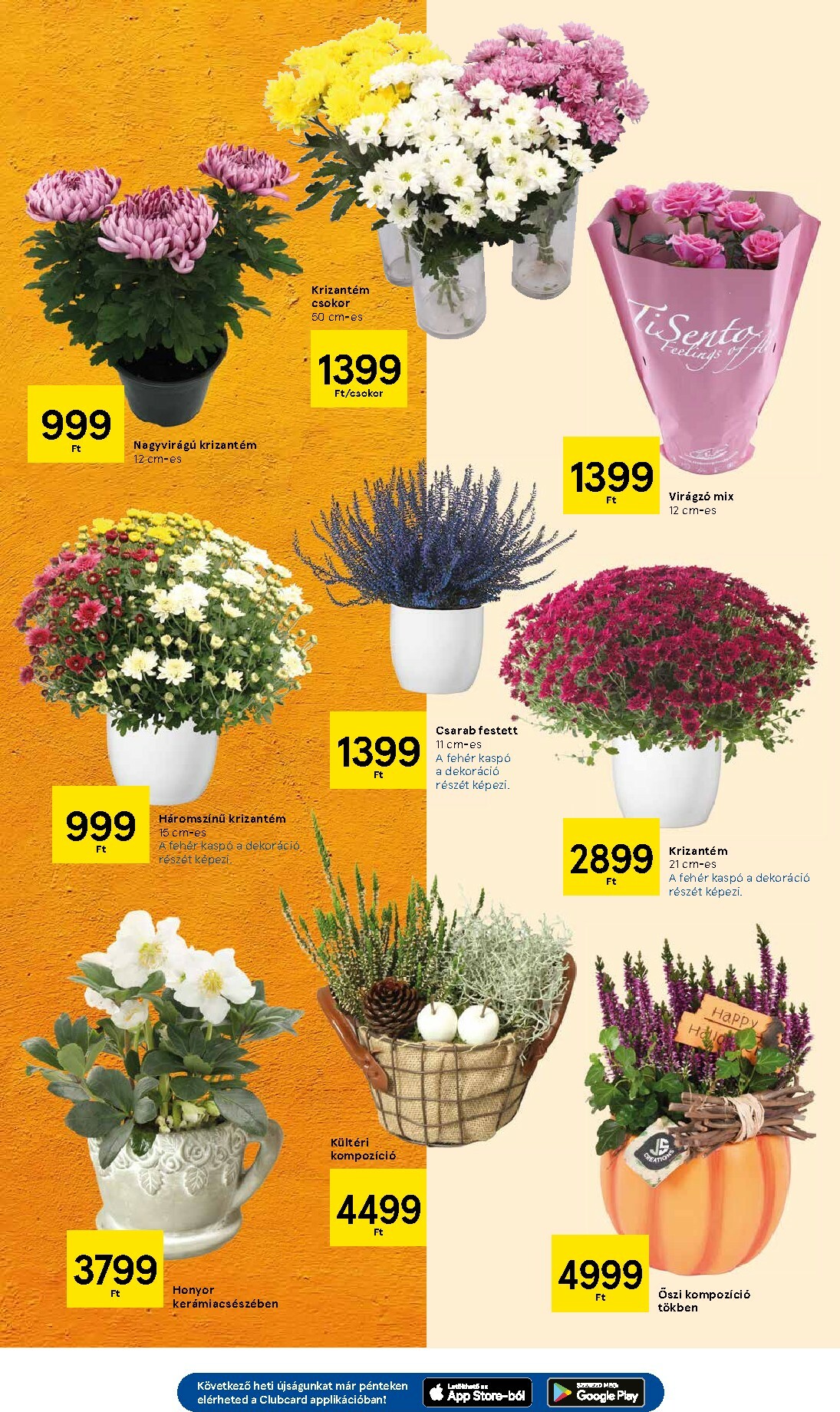 tesco - Tesco akciós újság, érvényes 10.16. - 10.22. - page: 19