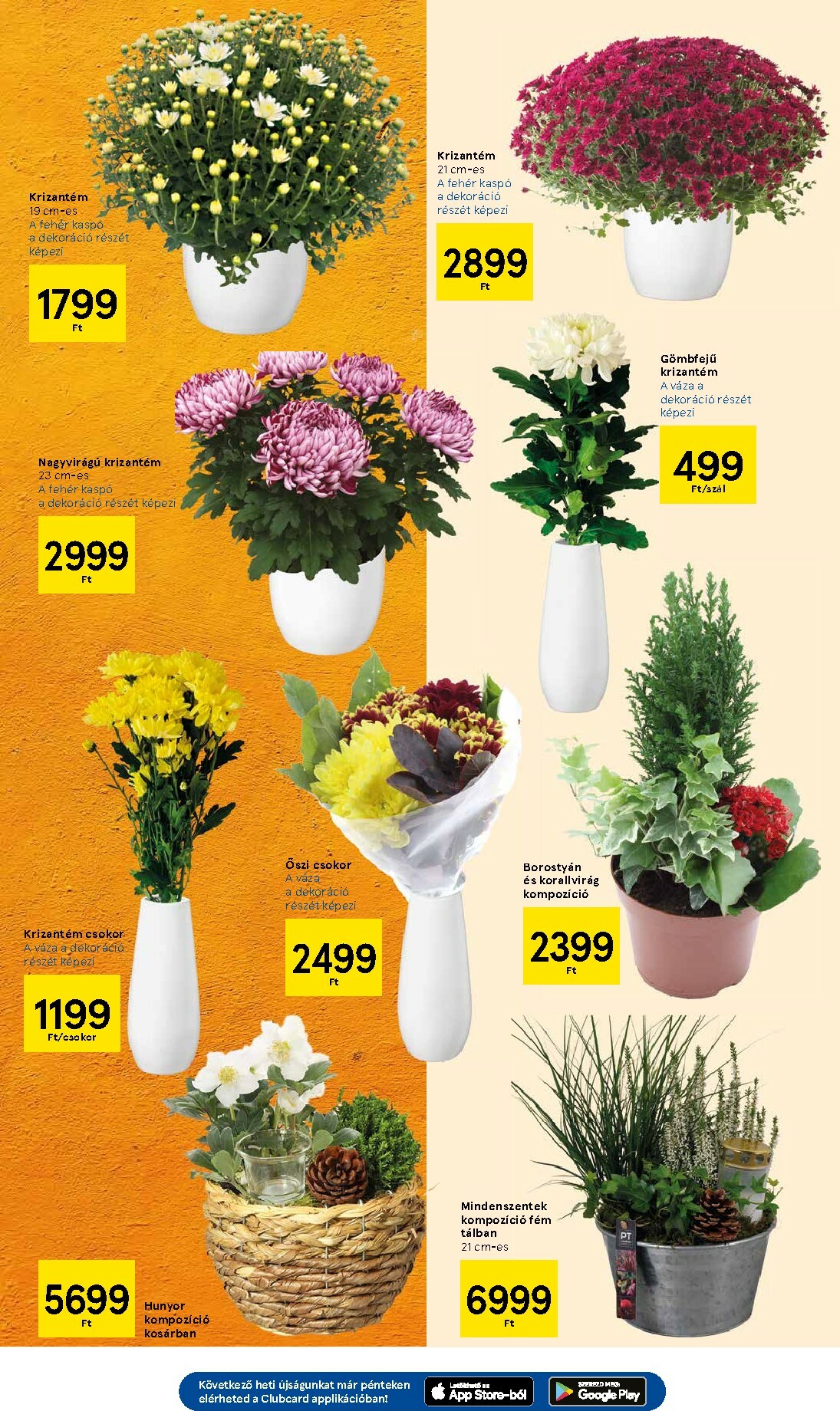 tesco - Tesco akciós újság, érvényes 10.30. - 11.05. - page: 11