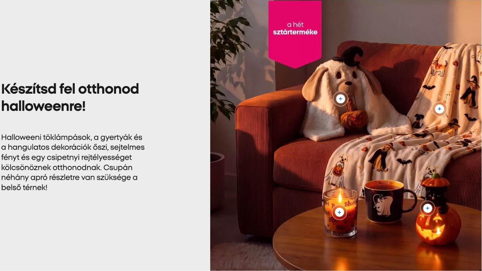 pepco - Aktuális Pepco szórólap érvényes csütörtöktől 2026.09.24.-től szerdától 2026.09.30.-ig - page: 7