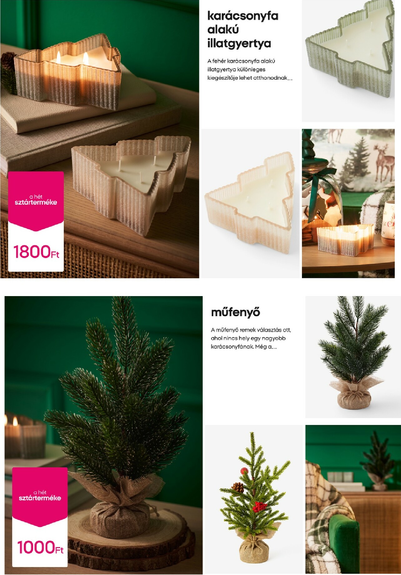 pepco - Pepco - A hét sztártermékei akciós újság, érvényes 10.23. - 10.29. - page: 5