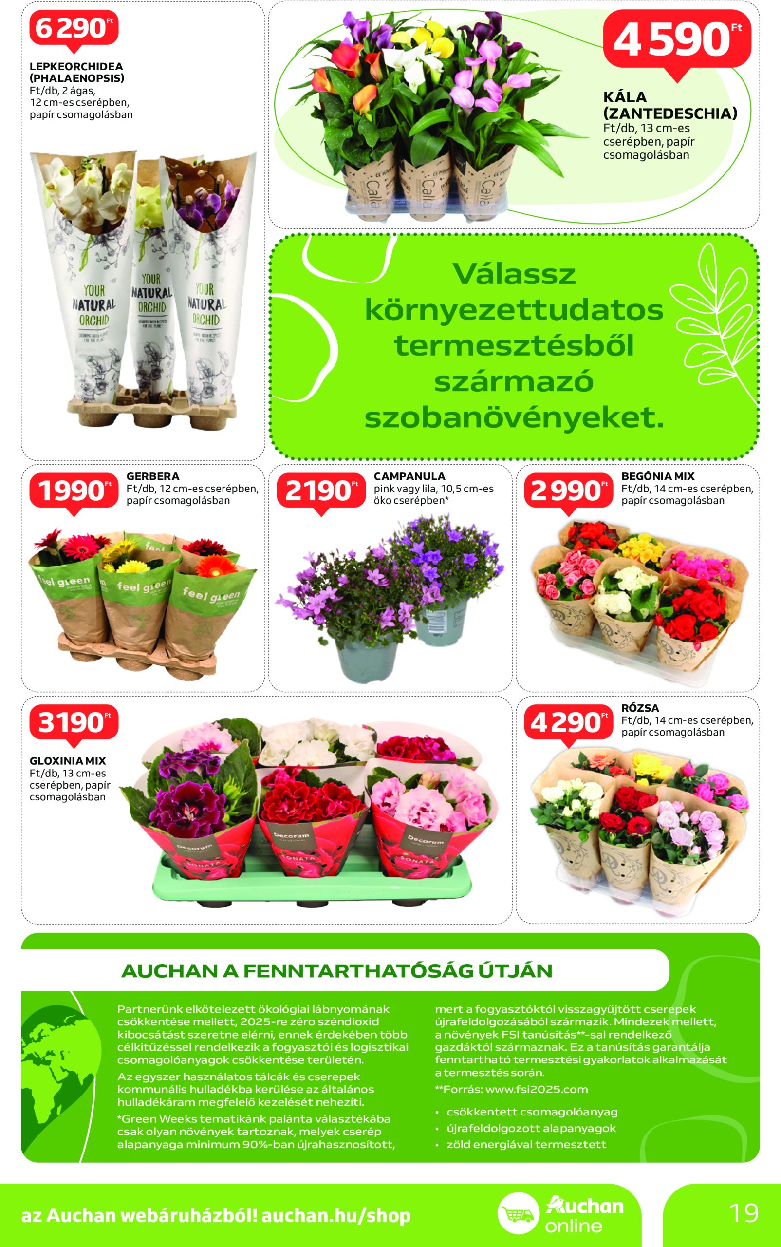 auchan - Auchan - Green Week akciós újság, érvényes 02.06. - 02.19. - page: 19