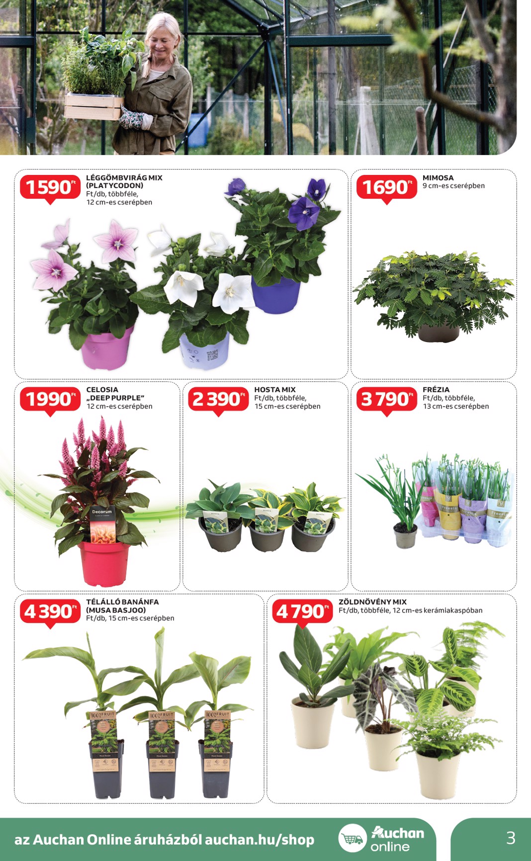 auchan - Auchan - Ki a szabadba - Hipermarket akciós újság, érvényes 04.24. - 05.14. - page: 3