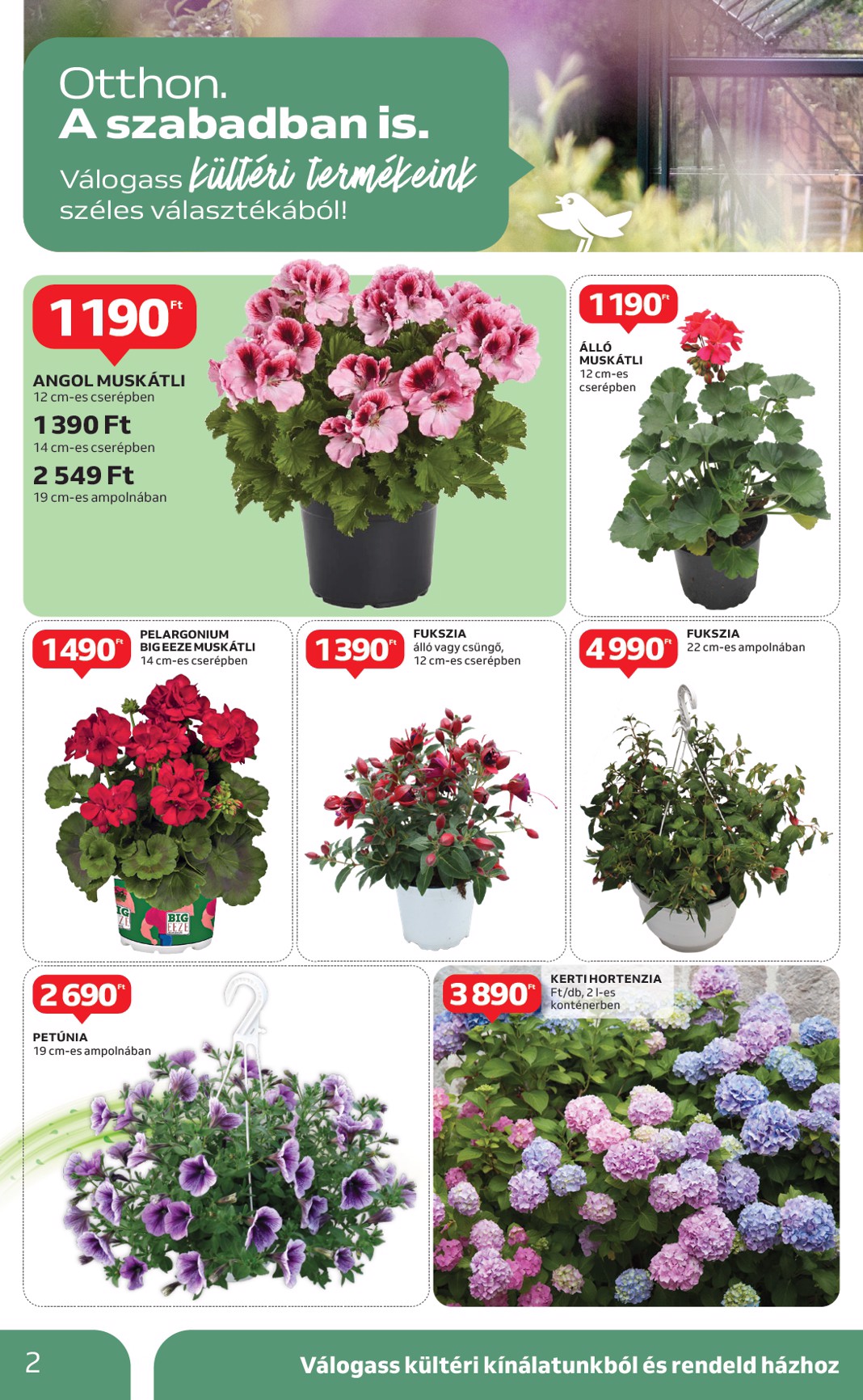 auchan - Auchan - Ki a szabadba - Hipermarket akciós újság, érvényes 04.24. - 05.14. - page: 2