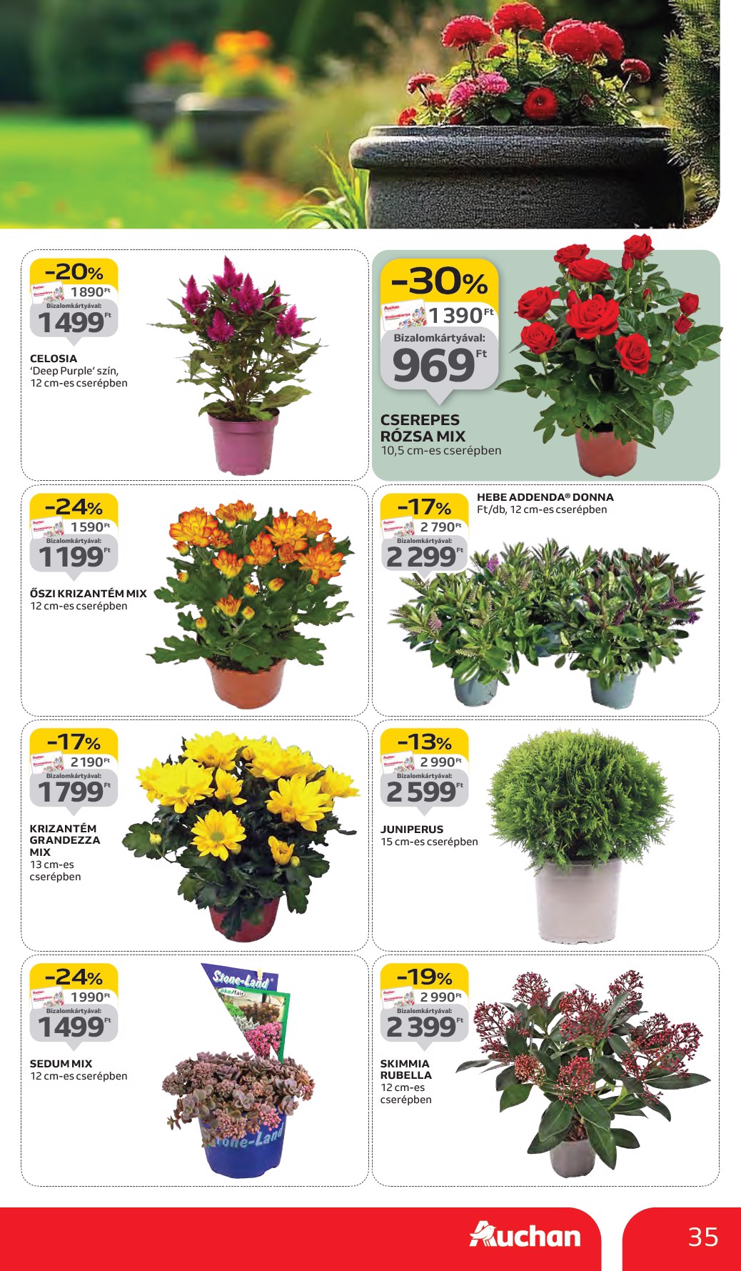 auchan - Auchan Hipermarket akciós újság, érvényes 09.11. - 09.17. - page: 35 auchan - Auchan Hipermarket akciós újság, érvényes 09.11. - 09.17. - page: 35