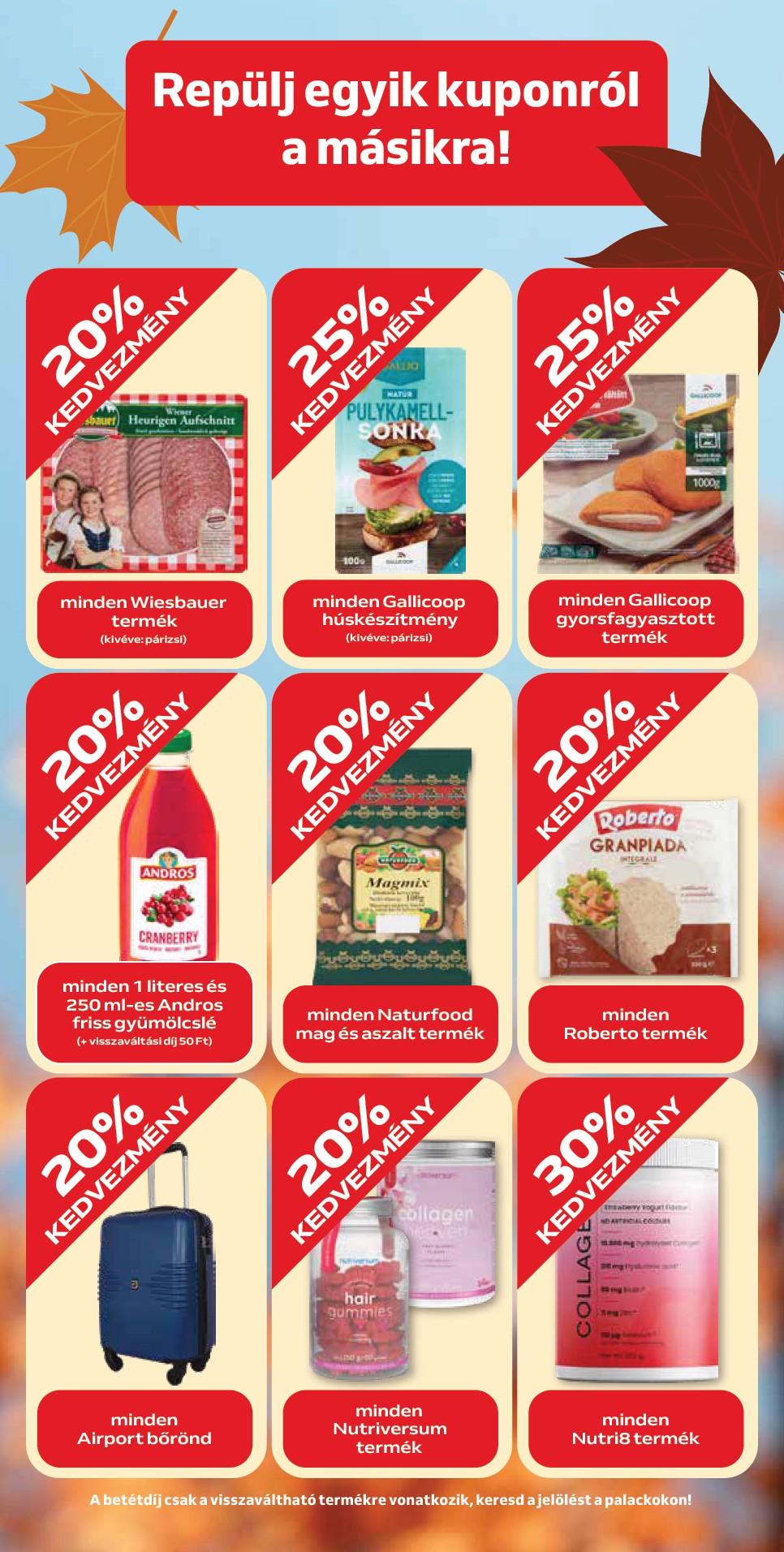 auchan - Auchan - Őszi kuponnapok akciós újság, érvényes 10.02. - 10.12. - page: 9