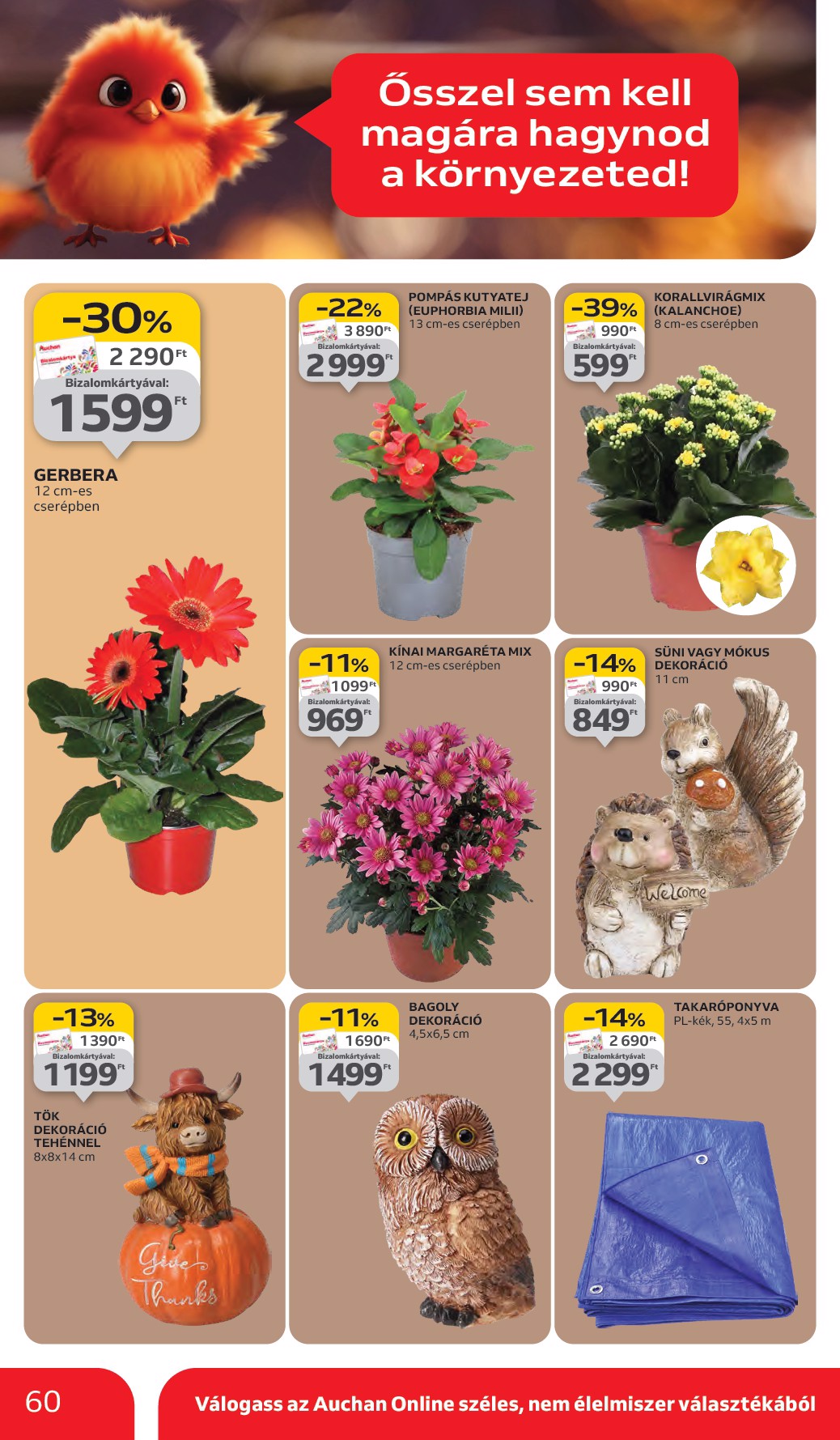 auchan - Auchan Hipermarket akciós újság, érvényes 10.02. - 10.08. - page: 60