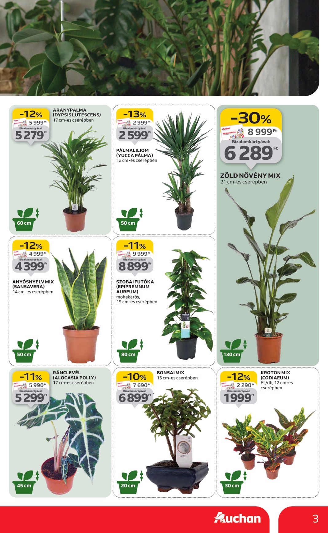 auchan - Auchan Hipermarket akciós újság, érvényes 01.22. - 01.28. - page: 3