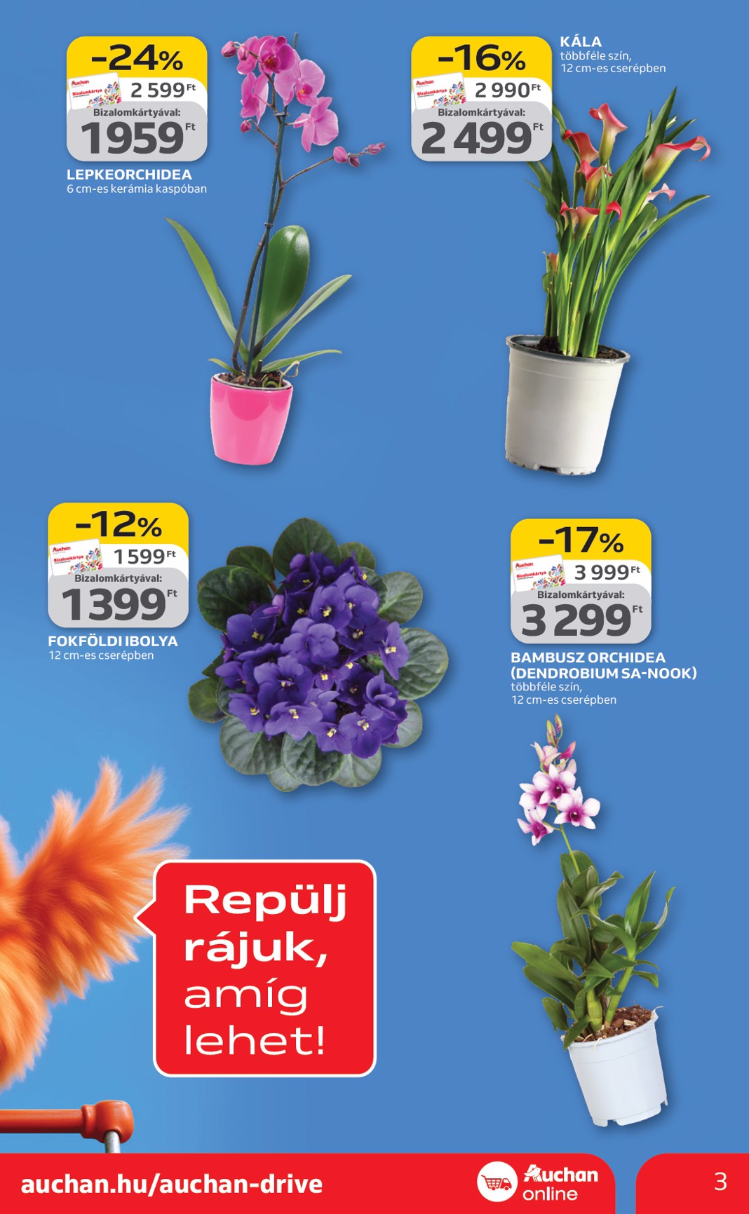 auchan - Auchan szupermarket akciós újság, érvényes 2026.02.05. - 2026.02.11. - page: 3