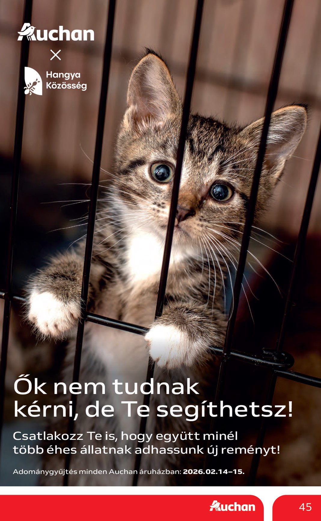 auchan - Auchan Hipermarket akciós újság, érvényes 2026.02.12. - 2026.02.18. - page: 45
