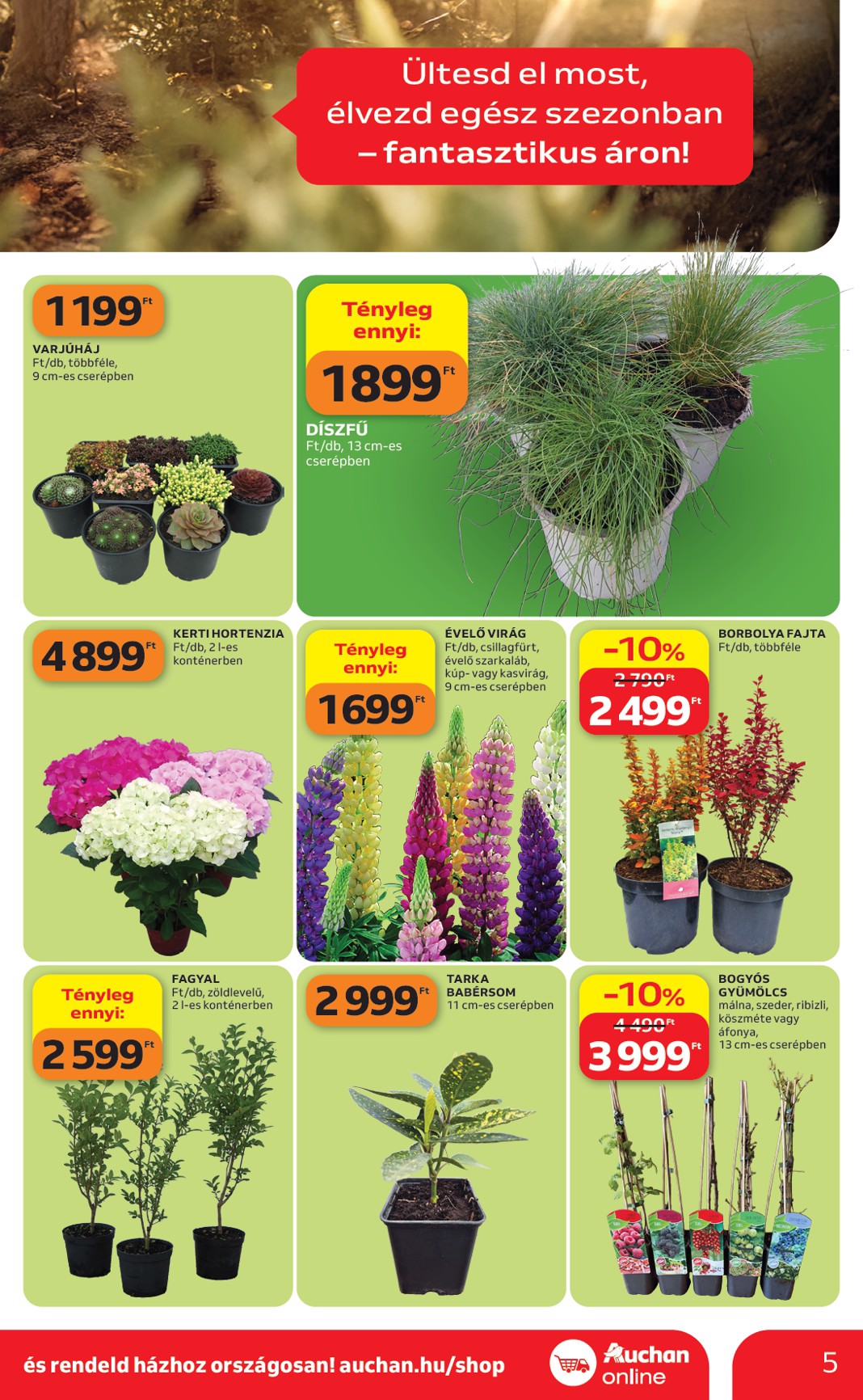 auchan - Aktuális Auchan - Kertészet és Szabadidő szórólap érvényes csütörtöktől 2026.04.16.-től csütörtöktől 2026.05.14.-ig - page: 5