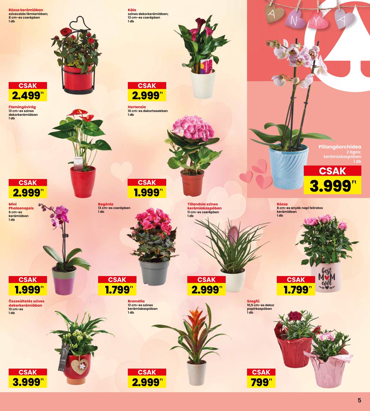 spar - INTERSPAR akciós újság, érvényes 05.02. - 05.07. - page: 5