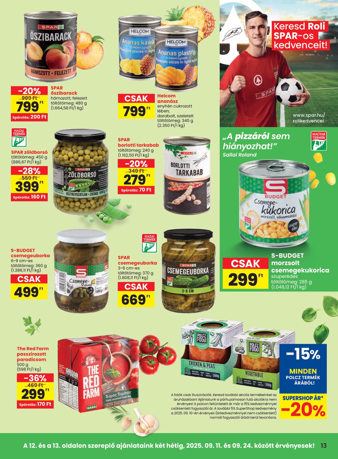spar - SPAR akciós újság, érvényes 09.11. - 09.17. - page: 13