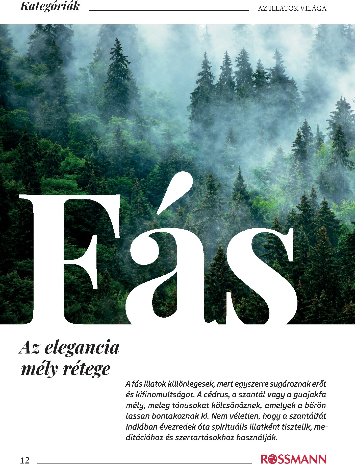rossmann - Rossmann - Az Illatok Világa akciós újság, érvényes 10.15. - 12.31. - page: 12