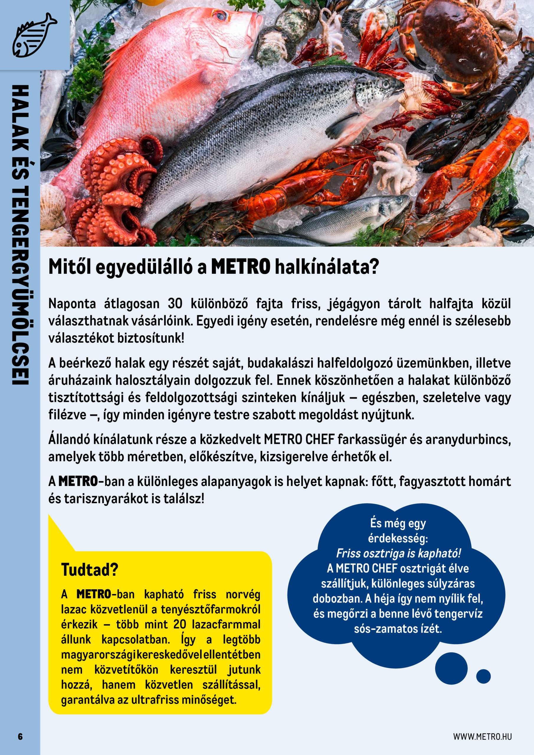 metro - Metro - Professzionális termékek akciós újság, érvényes 06.01. - 06.30. - page: 6 metro - Metro - Professzionális termékek akciós újság, érvényes 06.01. - 06.30. - page: 6