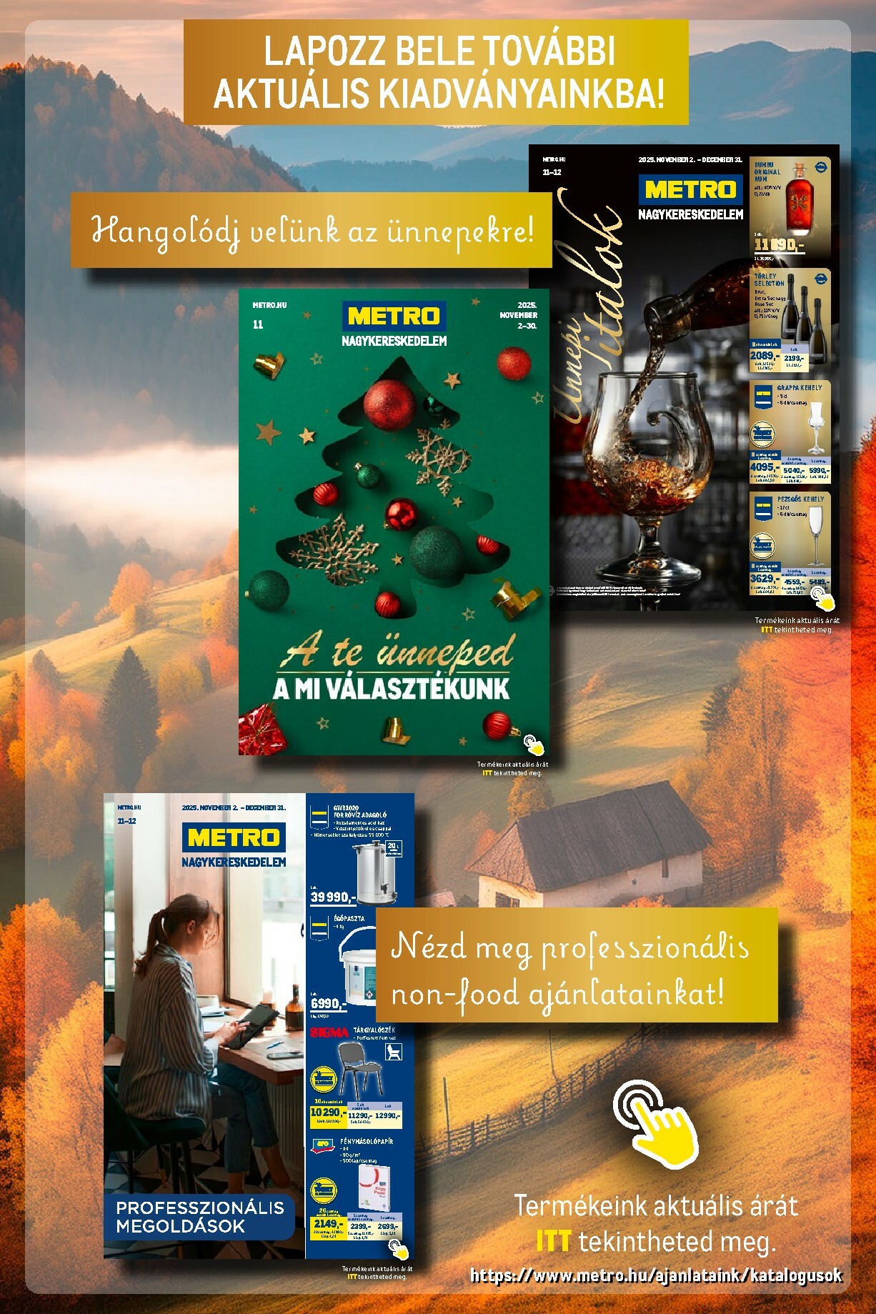 metro - Metro - Élelmiszer és Szezonális katalógus! akciós újság, érvényes 11.02. - 11.30. - page: 31