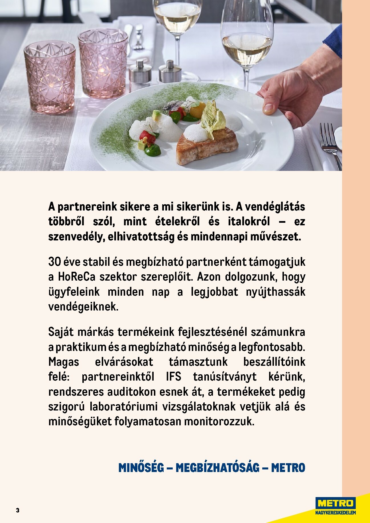 metro - Metro - Professzionális termékek, profi felhasználóknak! akciós újság, érvényes 2025.06.01. - 2026.06.30. - page: 3