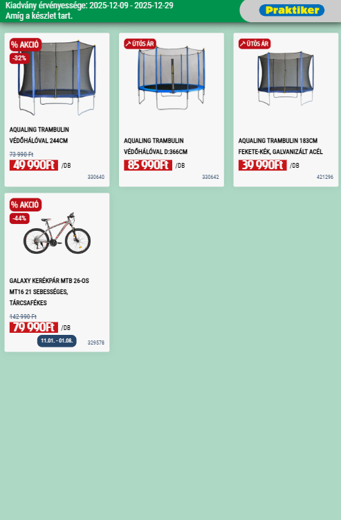 praktiker - Praktiker akciós újság, érvényes 12.09. - 12.29. - page: 17