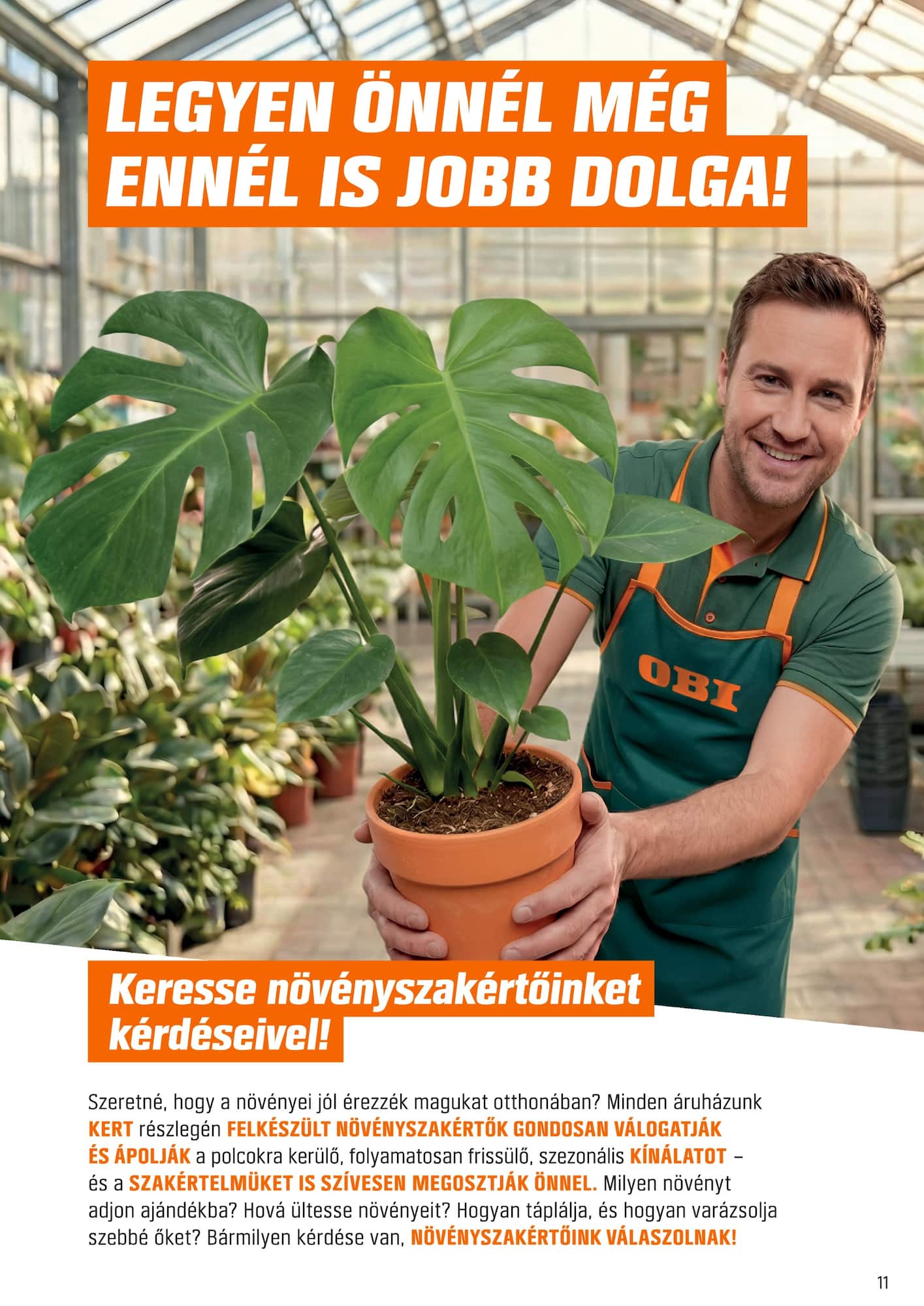 obi - Aktuális OBI szórólap érvényes keddtől 2026.06.02.-től hétfőtől 2026.06.29.-ig - page: 11