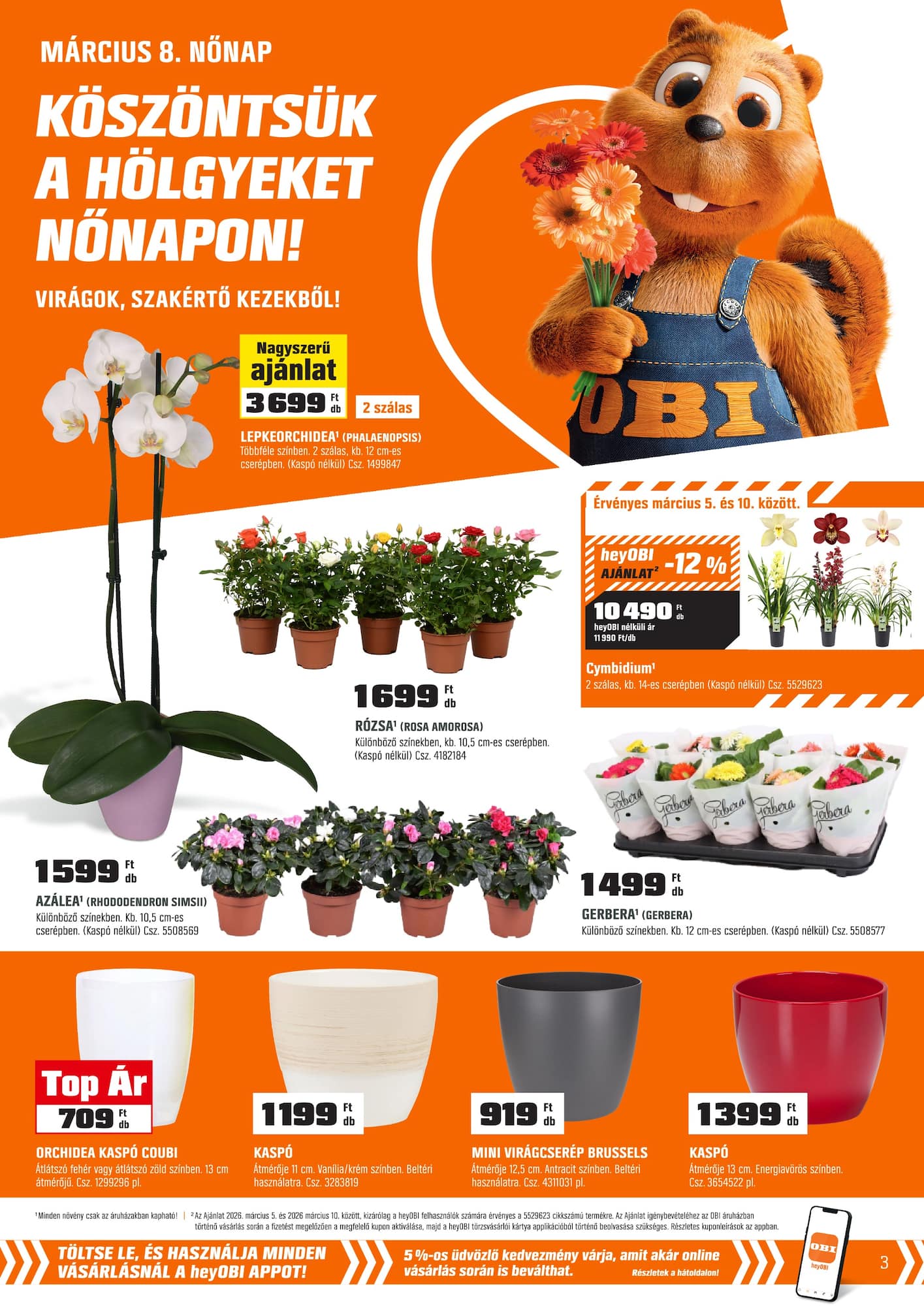 obi - OBI akciós újság, érvényes 2026.03.03. - 2026.03.29. - page: 3