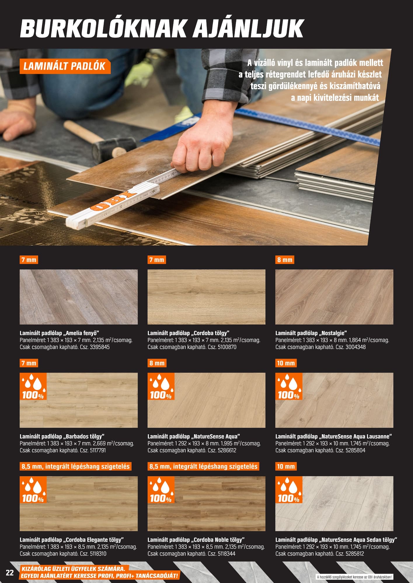 obi - OBI Pro akciós újság, érvényes 2026.03.17. - 2026.06.21. - page: 22