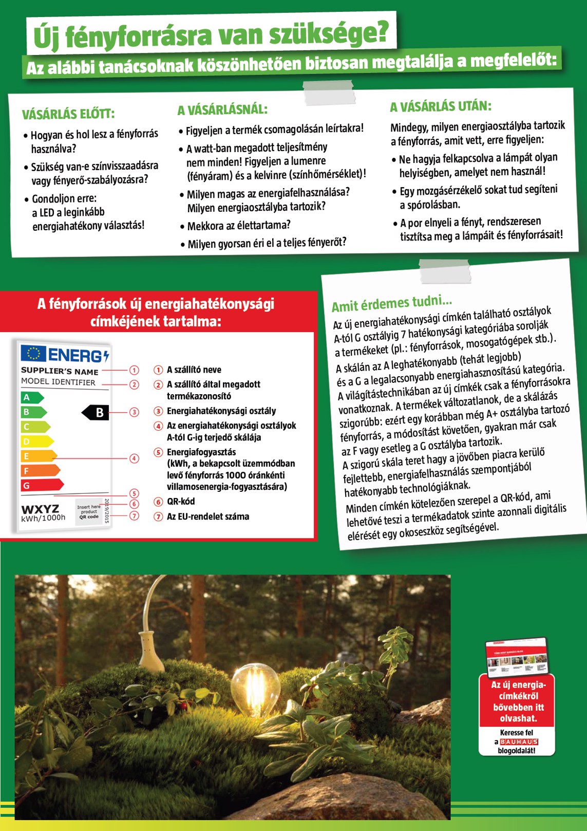 bauhaus - BAUHAUS akciós újság, érvényes 2026.02.02. - 2026.03.01. - page: 21