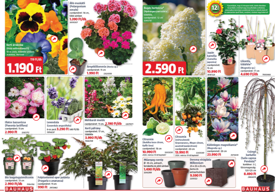 bauhaus - BAUHAUS akciós újság, érvényes 2026.03.05. - 2026.03.31. - page: 2