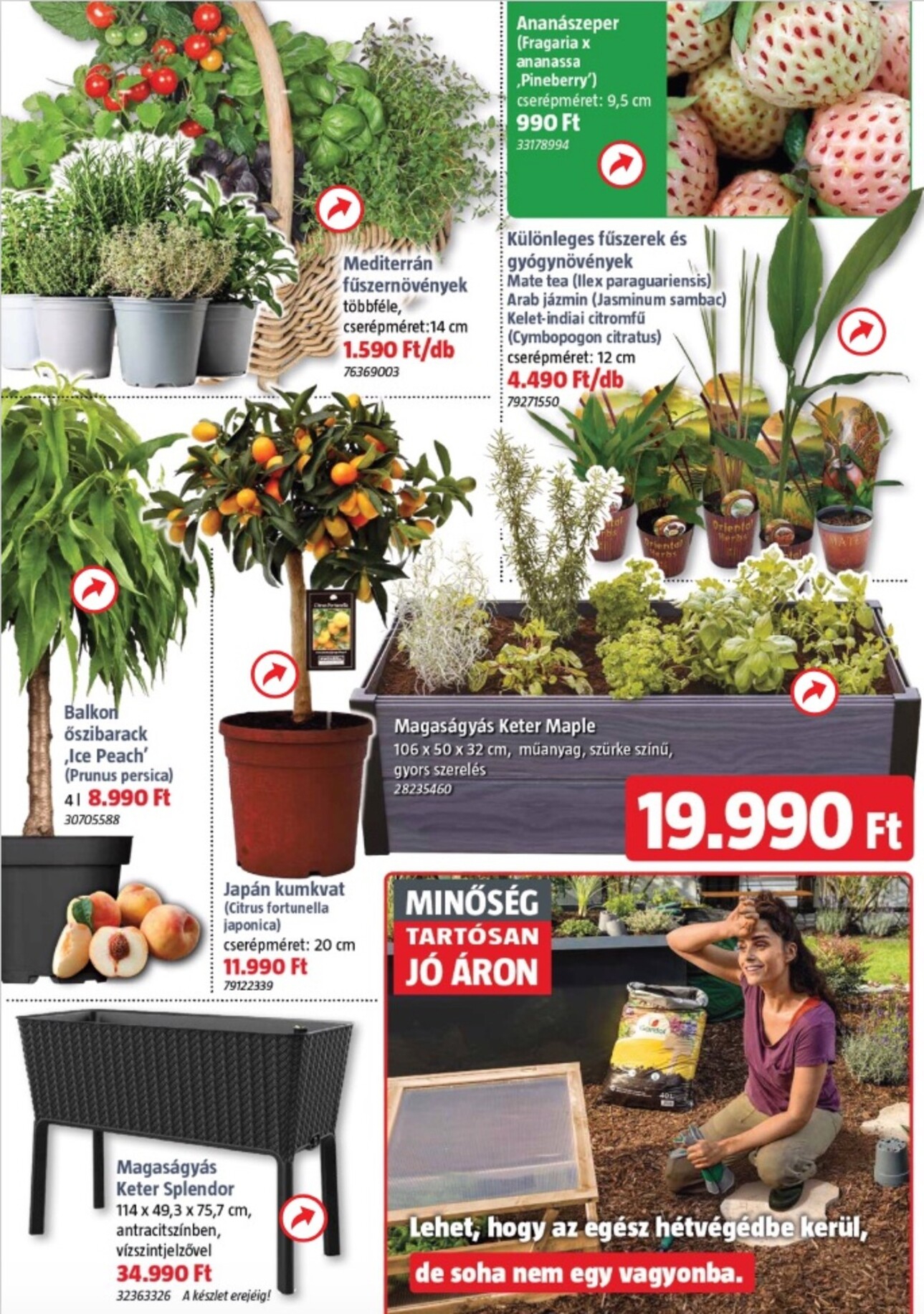 bauhaus - BAUHAUS akciós újság, érvényes 2026.04.02. - 2026.05.05. - page: 4