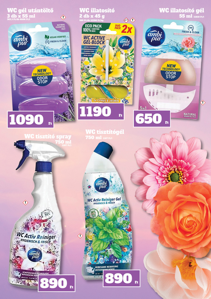 family-diszkont - Family Diszkont akciós újság, érvényes 01.16. - 01.21. - page: 13