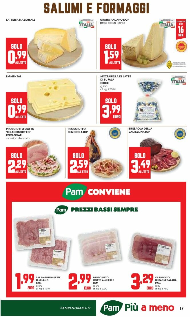 pam-retail-pro - Volantino Pam Retail Pro valido dal 07/08 al 20/08 - page: 17