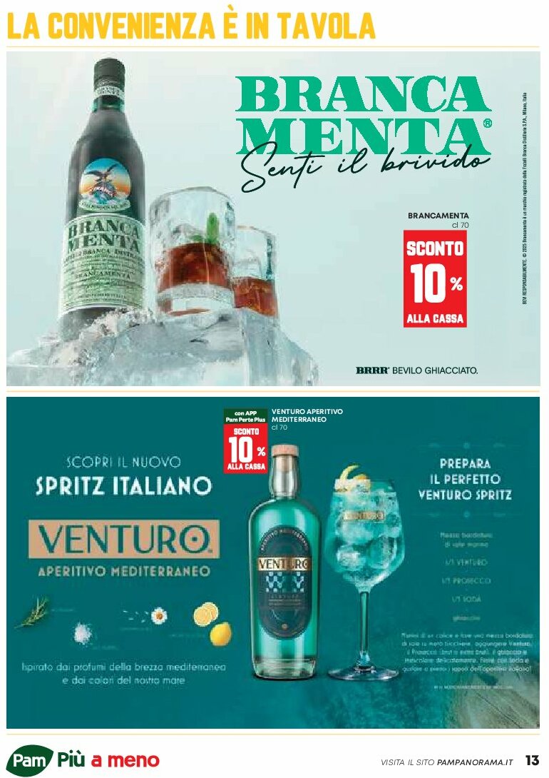 pam-retail-pro - Volantino Pam Retail Pro - Occasioni Extra valido dal 07/08 al 20/08 - page: 13