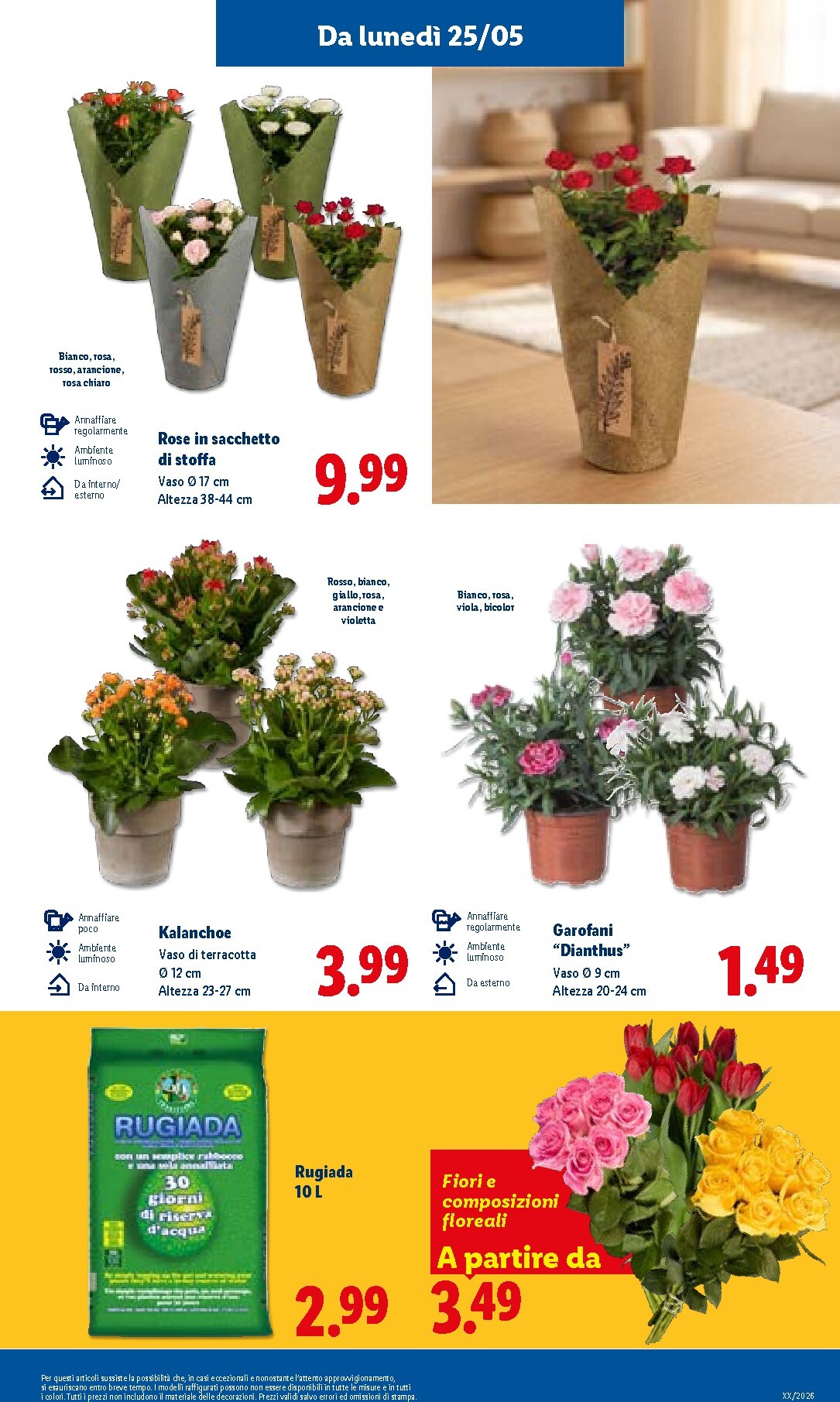 lidl - Volantino Lidl per la prossima settimana dal giovedì 21/05/2026 al mercoledì 27/05/2026 - page: 37