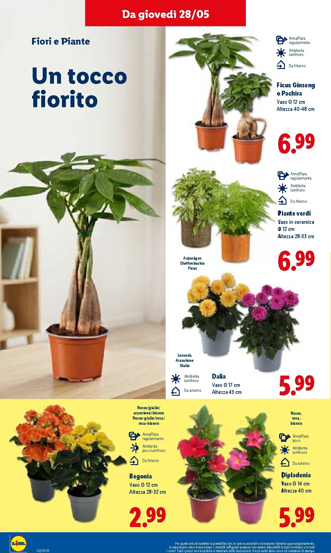 lidl - Volantino Lidl per la prossima settimana dal giovedì 28/05/2026 al mercoledì 03/06/2026 - page: 34