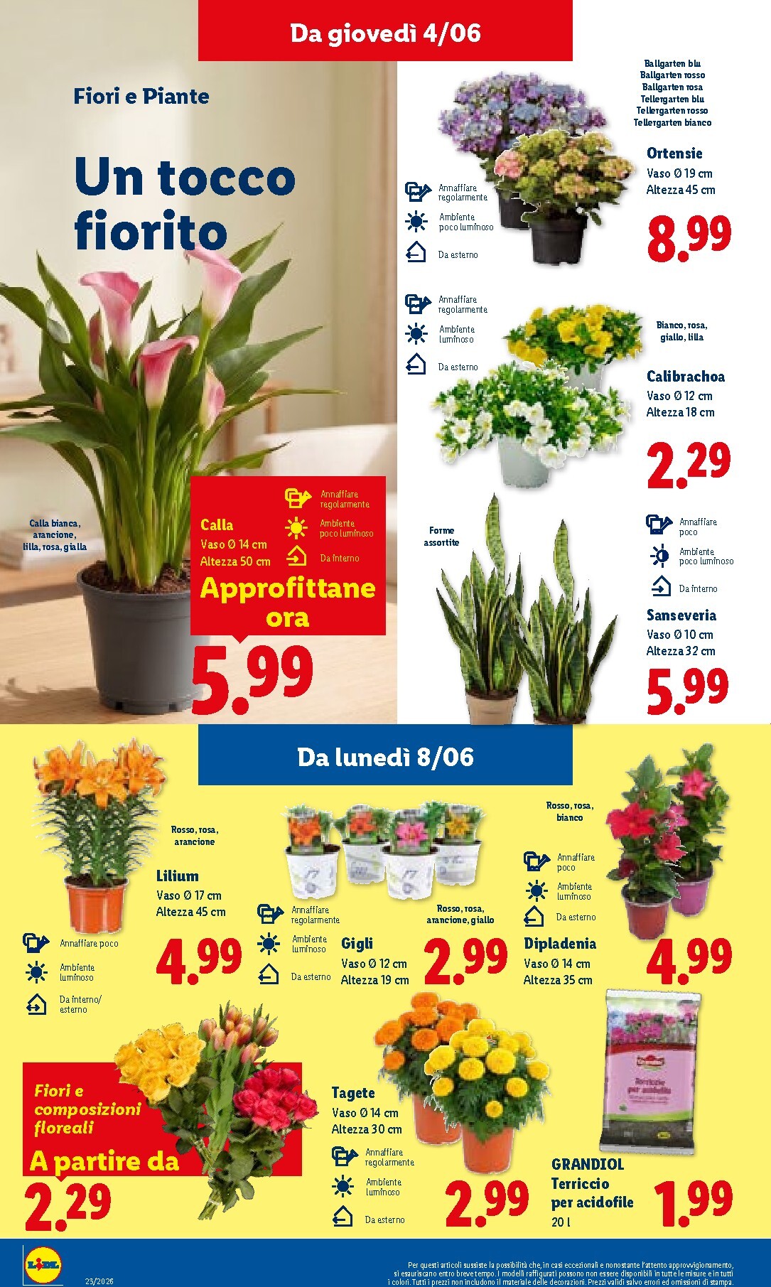 lidl - Volantino Lidl per la prossima settimana dal giovedì 04/06/2026 al mercoledì 10/06/2026 - page: 34
